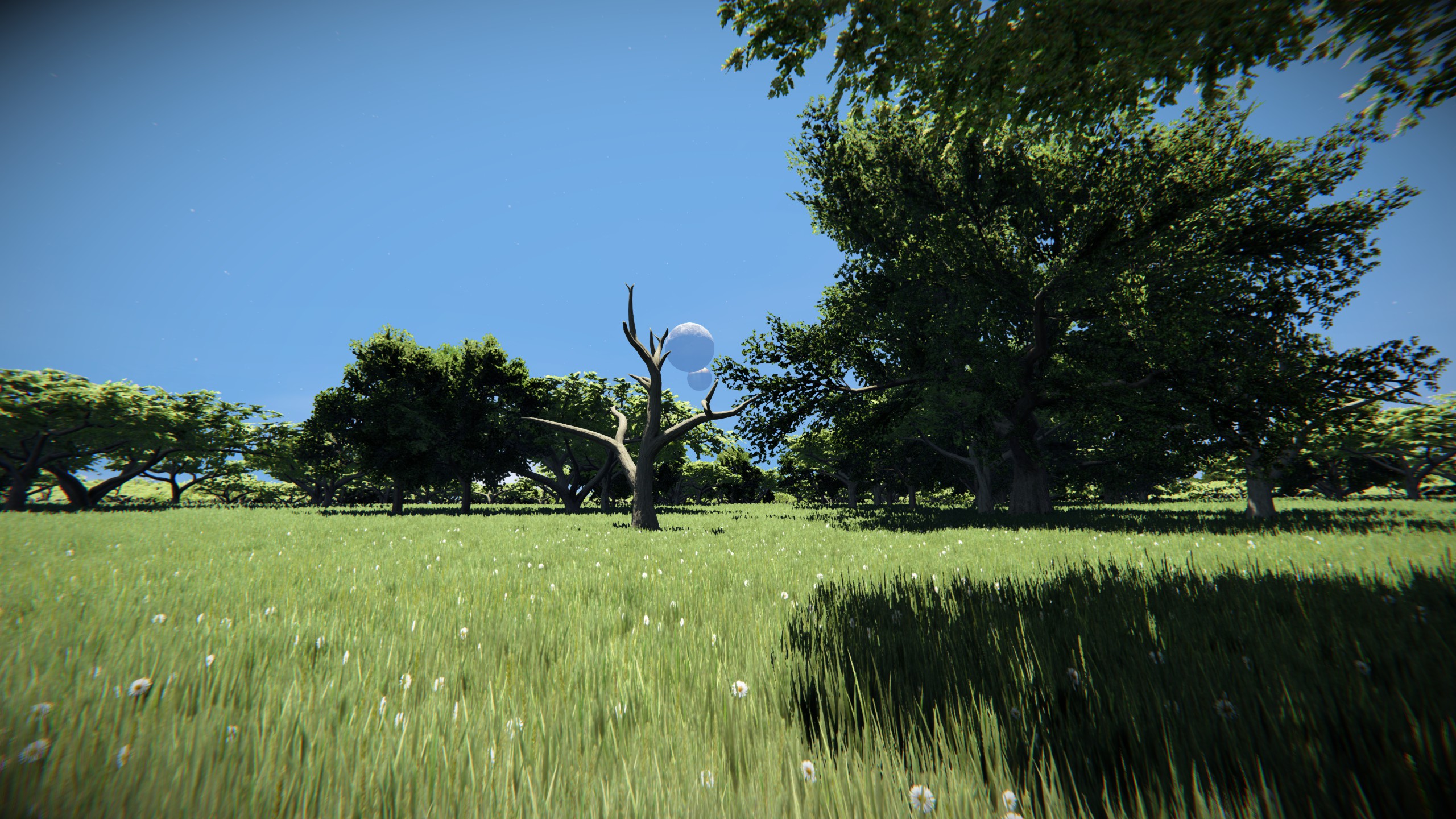 Captura 3